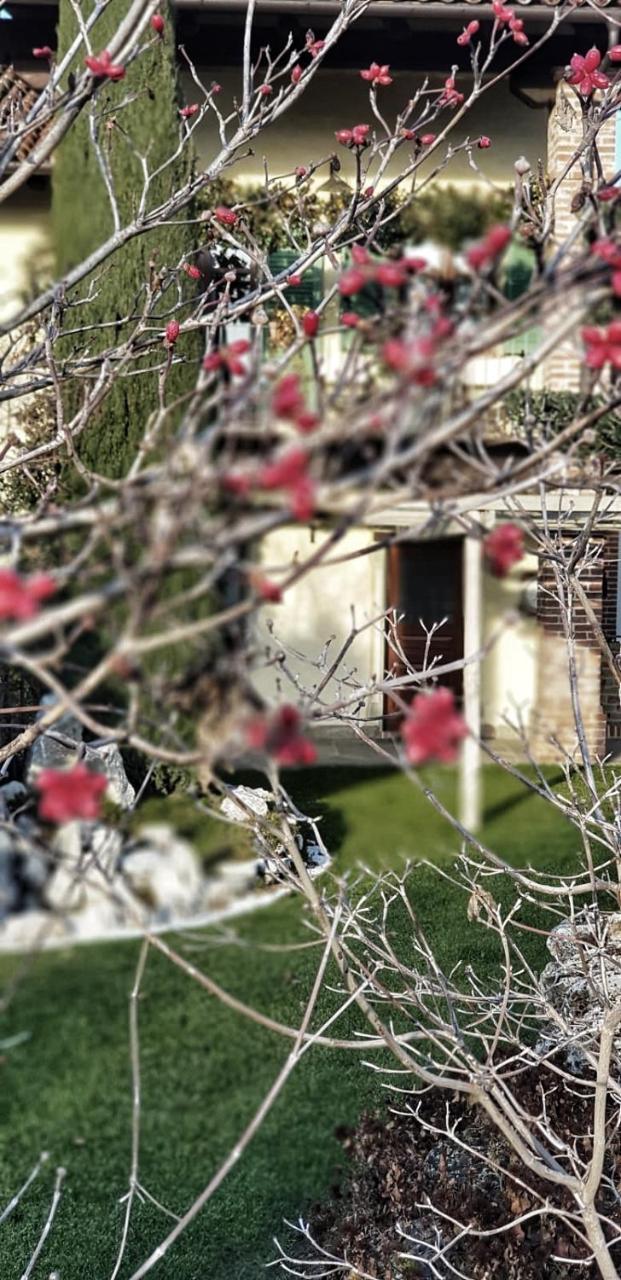 Heremo Delle Ripe Trinità Dış mekan fotoğraf
